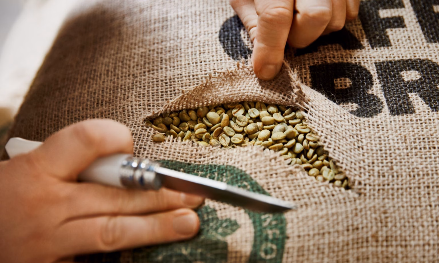 aufgeschnittener Sack mit Rohkaffeebohnen
